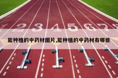 <b>����ֲ����ҩ��ͼƬ,����ֲ����ҩ������Щ</b>