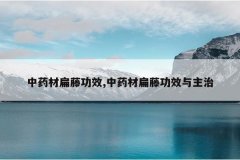 <b>��ҩ�ı��ٹ�Ч,��ҩ�ı��ٹ�Ч������</b>