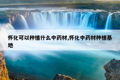 <b>����������ֲʲô��ҩ��,������ҩ����ֲ����</b>