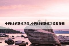 <b>��ҩ��ë�ݸ���Ч,��ҩ��ë�ݸ���Ч������</b>