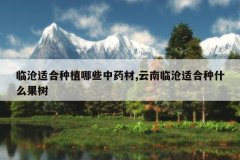 <b>�ٲ��ʺ���ֲ��Щ��ҩ��,�����ٲ��ʺ���ʲô����</b>