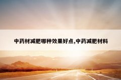 <b>��ҩ�ļ�������Ч���õ�,��ҩ���ʲ���</b>