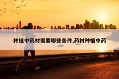 <b>��ֲ��ҩ����Ҫ��Щ����,ҩ����ֲ��ҩ</b>