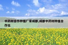 <b>��ҩ�ĺ�����ֲ���ҳɶ�,�ɶ���ҩ����ֲ������</b>