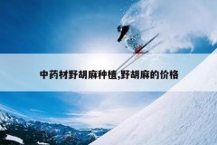 <b>��ҩ��Ұ������ֲ,Ұ����ļ۸�</b>