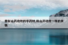 <b>����ɽҩ��Ч����ҩ��,��ɽҩ��Чһ����ʳ��</b>