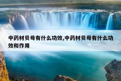 <b>��ҩ�ı�ĸ��ʲô��Ч,��ҩ�ı�ĸ��ʲô��Ч������</b>