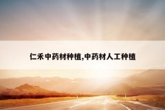 <b>�ʺ���ҩ����ֲ,��ҩ���˹���ֲ</b>