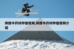 <b>������ҩ����ֲ��Ƶ,������ҩ����ֲ��Ƶ����</b>