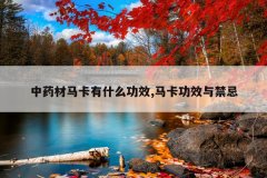 <b>��ҩ��������ʲô��Ч,������Ч�����</b>