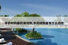 <b>��ҩ�Ĺ���ҩ�ù�Ч,��ҩ�Ĺ�����ʲô��Ч</b>