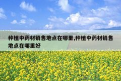 <b>��ֲ��ҩ�����۵ص�������,��ֲ��ҩ�����۵ص��������</b>