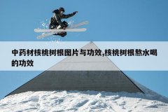 <b>��ҩ�ĺ�������ͼƬ�빦Ч,����������ˮ�ȵĹ�Ч</b>