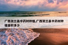 <b>������������ҩ����ֲ,������������ҩ����ֲ�������</b>