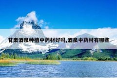 <b>�����Ȫ��ֲ��ҩ�ĺ���,��Ȫ��ҩ������Щ</b>