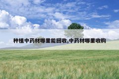 <b>��ֲ��ҩ�������ܻ���,��ҩ�������չ�</b>