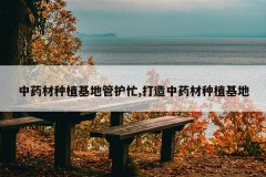 <b>��ҩ����ֲ���عܻ�æ,������ҩ����ֲ����</b>