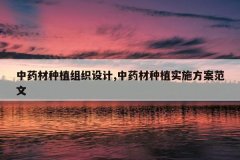 <b>��ҩ����ֲ��֯���,��ҩ����ֲʵʩ��������</b>