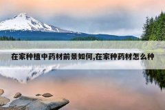 <b>�ڼ���ֲ��ҩ��ǰ�����,�ڼ���ҩ����ô��</b>