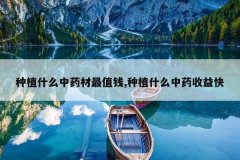 <b>��ֲʲô��ҩ����ֵǮ,��ֲʲô��ҩ�����</b>