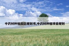 <b>��ҩ����ֲ԰���滮��,��ҩ����ֲ��Ŀ�滮</b>