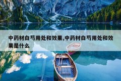 <b>��ҩ�İ����ô���Ч��,��ҩ�İ����ô���Ч����ʲô</b>