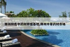 <b>������ɫ��ҩ����ֲ����,�����в�ҩ���г�</b>