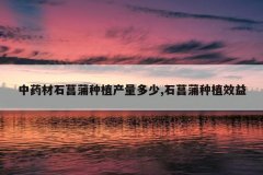 <b>��ҩ��ʯ������ֲ��������,ʯ������ֲЧ��</b>