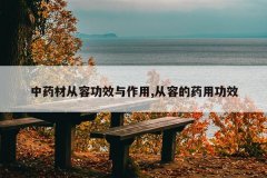 <b>��ҩ�Ĵ��ݹ�Ч������,���ݵ�ҩ�ù�Ч</b>