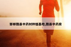 <b>����κ����ҩ����ֲ����,κ����ҩ��</b>