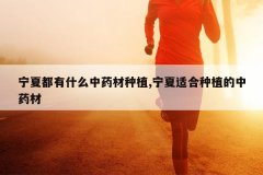 <b>���Ķ���ʲô��ҩ����ֲ,�����ʺ���ֲ����ҩ��</b>