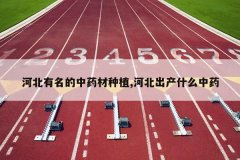 <b>�ӱ���������ҩ����ֲ,�ӱ�����ʲô��ҩ</b>