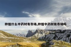 <b>��ֲʲô��ҩ�����г�,��ֲ��ҩ�����г���</b>