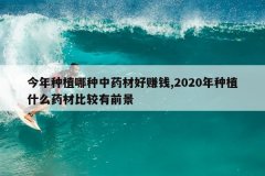 <b>������ֲ������ҩ�ĺ�׬Ǯ,2020����ֲʲôҩ�ıȽ���ǰ��</b>