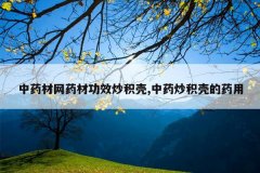 <b>ҩҩĹЧ,ҩǵҩ</b>