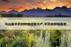 <b>��ɽ����ҩ����ֲ������,��ҩ����ֲ����</b>