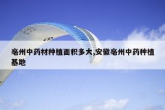 <b>������ҩ����ֲ������,����������ҩ��ֲ����</b>