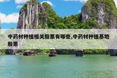 <b>��ҩ����ֲ��ع�Ʊ����Щ,��ҩ����ֲ���ع�Ʊ</b>