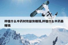 <b>��ֲʲô��ҩ��Ч���׬Ǯ,��ֲʲô��ҩ��׬Ǯ</b>