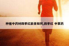 <b>��ֲ��ҩ���ļ���ǰ�����,�ļ��� �в�ҩ</b>