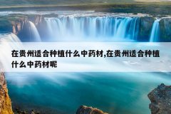 <b>�ڹ����ʺ���ֲʲô��ҩ��,�ڹ����ʺ���ֲʲô��ҩ����</b>