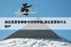 <b>������������Щ��ҩ����ֲ,����������ʲô�ز�</b>