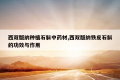 <b>��˫������ֲʯ����ҩ��,��˫������Ƥʯ���Ĺ�Ч������</b>