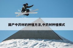 <b>������ҩ�ĵ���ֲ����,��ҩ����ֲģʽ</b>