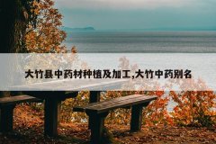 <b>��������ҩ����ֲ���ӹ�,������ҩ����</b>