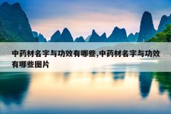<b>ҩ빦ЧЩ,ҩ빦ЧЩͼƬ</b>