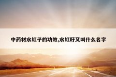 <b>��ҩ��ˮ���ӵĹ�Ч,ˮ�����ֽ�ʲô����</b>