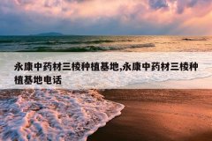 <b>������ҩ��������ֲ����,������ҩ��������ֲ���ص绰</b>