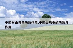 <b>��ҩ��ɽ�ڹ깦Ч����,��ҩɽ�ڹ�Ĺ�Ч������</b>