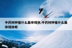 <b>��ҩ����ֲʲô����Ǯ��,��ҩ����ֲʲô����Ǯ����</b>